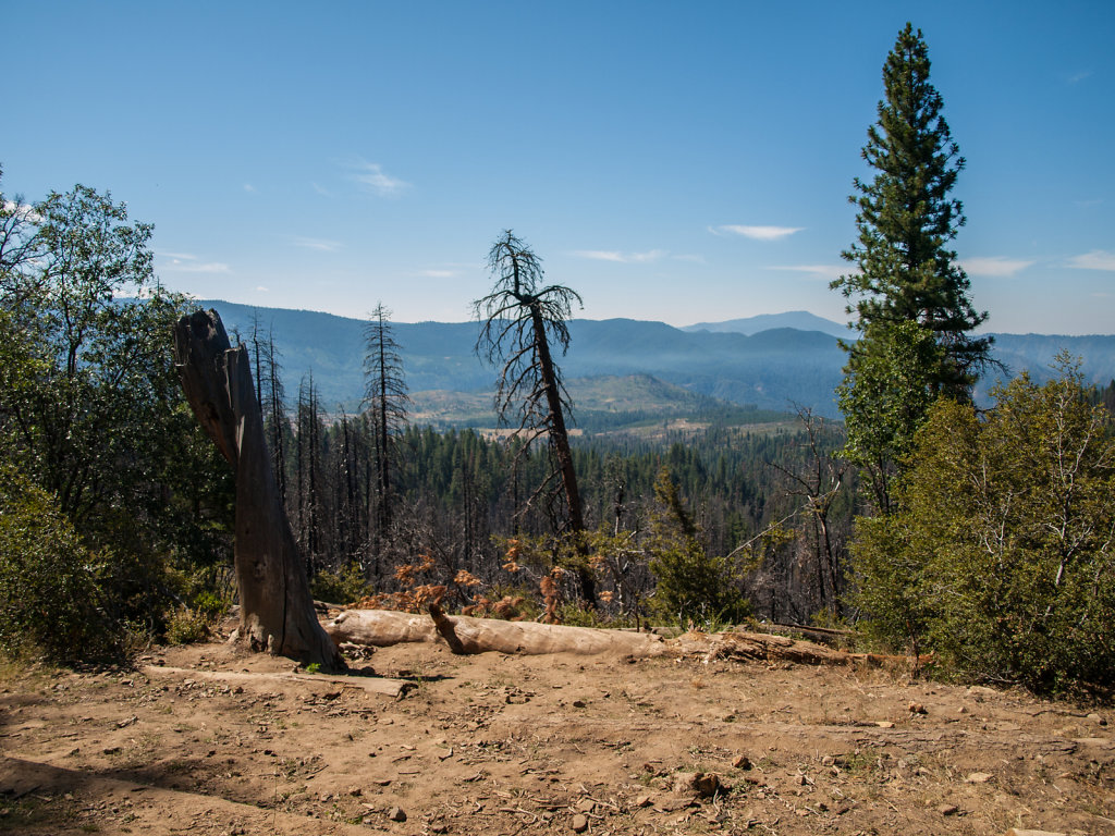 Yosemite-20130724-15.jpg