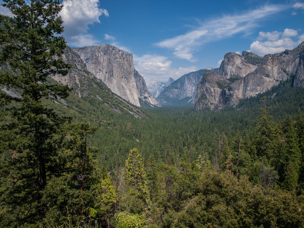 Yosemite-20130724-32.jpg