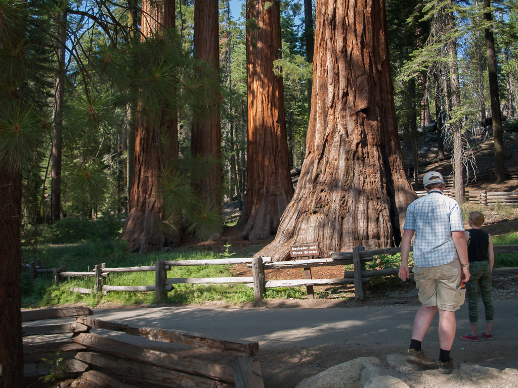 Yosemite-20130725-37.jpg