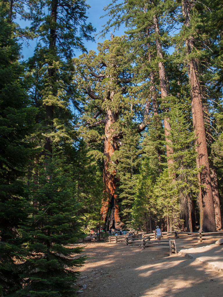 Yosemite-20130725-39.jpg