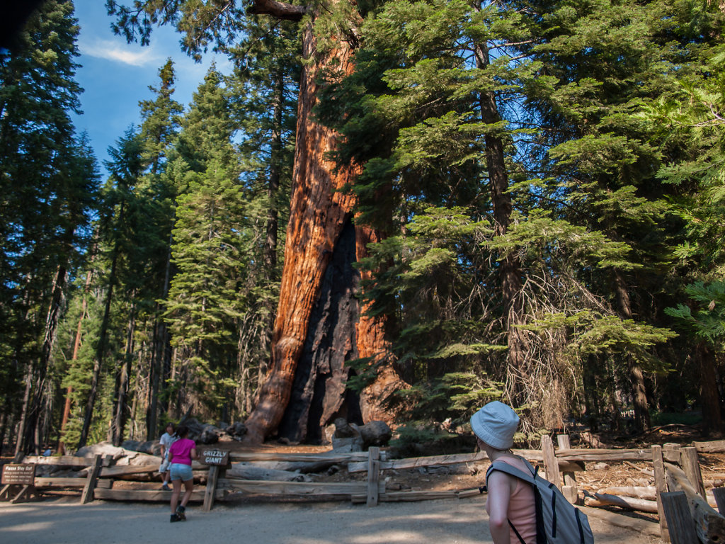 Yosemite-20130725-40.jpg