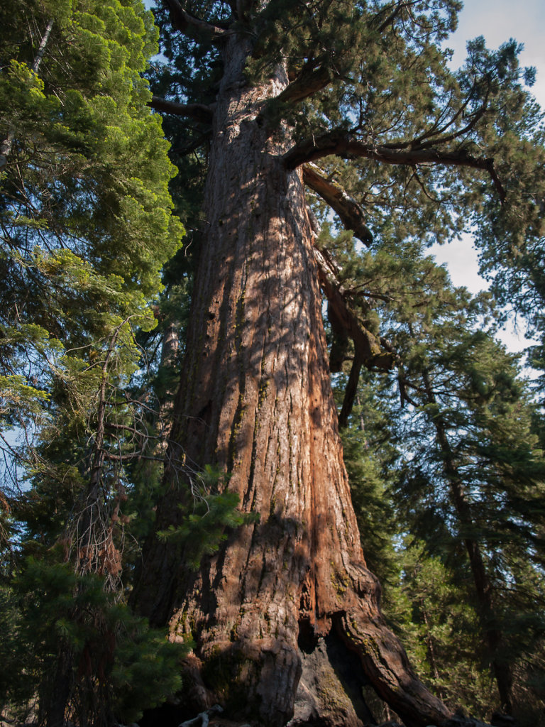 Yosemite-20130725-41.jpg