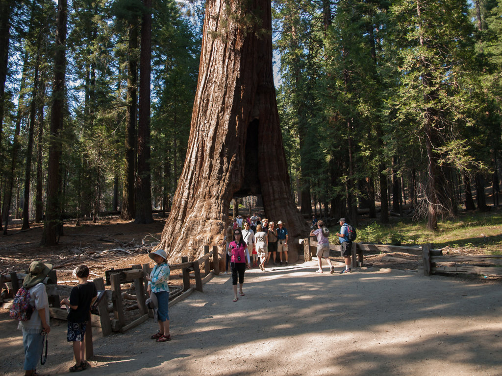 Yosemite-20130725-42.jpg